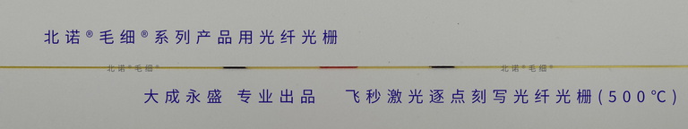 飛秒激光逐點刻寫光纖光柵-配套北諾?毛細?無縫鋼管光纖光柵溫度，應(yīng)變，應(yīng)力傳感器