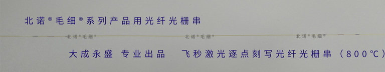 飛秒激光逐點刻寫光纖光柵串-配套北諾?毛細?無縫鋼管光纖光柵溫度，應變，應力傳感器